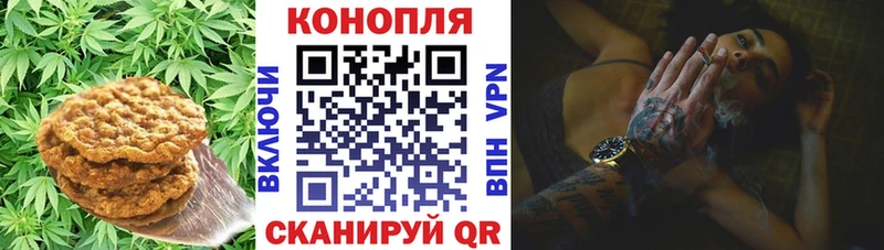 Купить  Зверево  Cannafood конопля 
