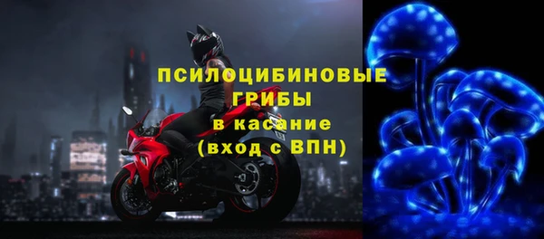 PSILOCYBIN Костерёво