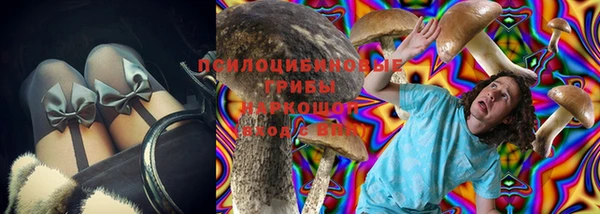 мет Корсаков