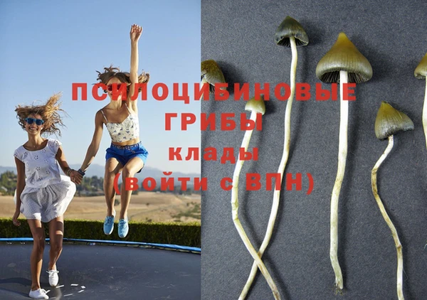PSILOCYBIN Костерёво